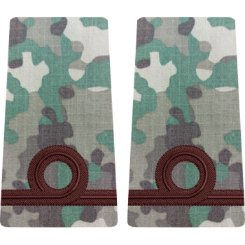 GRADE COMBAT SUBLOCOTENENT MARINA MILITARA  (Forțele Navale Române)